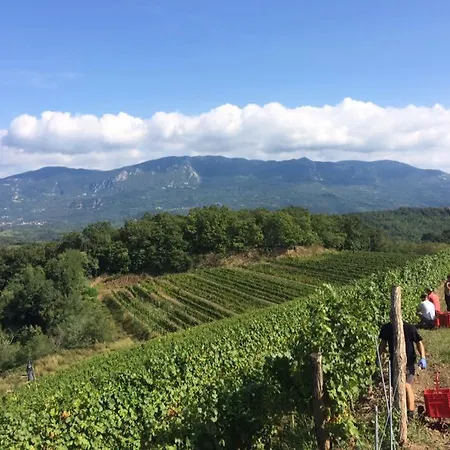 Kraljic - Primoz Cotar Couette-café