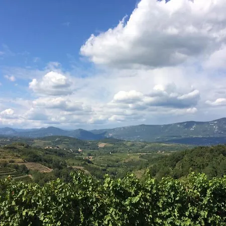 Couette-café Kraljic - Primoz Cotar