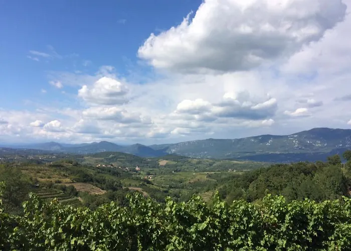 فندق مبيت وإفطار Kraljic - Primoz Cotar